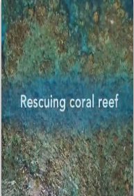 爱地球-珊瑚拯救队